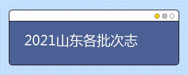 2021山東各批次志愿是如何設(shè)置？考生如何填報？